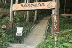 Нагано/Токио: частная однодневная экскурсия к снежным обезьянам по самой низкой цене