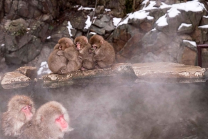 Nagano/Tokyo: Privat dagstur til sneaber til laveste pris