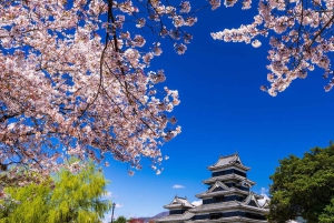 Nagano Tokio: Snow Monkey private Tour mit Abholung und Rückfahrt vom Hotel
