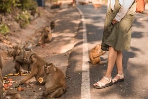 Nagano Tokio: Snow Monkey private Tour mit Abholung und Rückfahrt vom Hotel