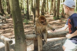 Nagano Tokio: Snow Monkey private Tour mit Abholung und Rückfahrt vom Hotel