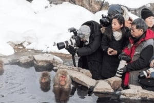 Privat dagsudflugt til Nagano: Sneaber og historiske templer