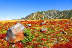 Nagano: Weltende Tateyama Kurobe Alpenroute Tour