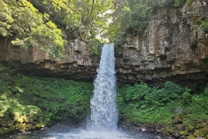 Naka-Izu: 2-dagers gourmetreise med wasabi, vin, te og glamping