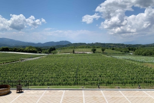 Naka-Izu: 2-dagers gourmetreise med wasabi, vin, te og glamping