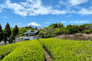 Naka-Izu: 2-dagers gourmetreise med wasabi, vin, te og glamping