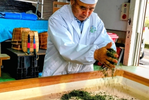 Naka-Izu: 2-dagers gourmetreise med wasabi, vin, te og glamping