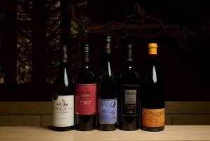 Naka-Izu: 2-dagers gourmetreise med wasabi, vin, te og glamping