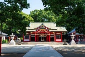 Nara: tour privato del Todai-ji e del santuario di Kasuga con foto 3D