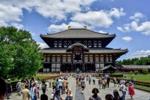 Nara: tour privato del Todai-ji e del santuario di Kasuga con foto 3D