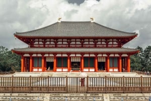 Nara: tour privato del Todai-ji e del santuario di Kasuga con foto 3D