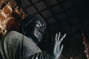 Nara: tour privato del Todai-ji e del santuario di Kasuga con foto 3D