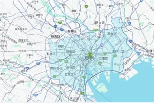 Naritan lentokenttä (NRT): Yksityinen yksisuuntainen kuljetus Tokioon/Tokiosta