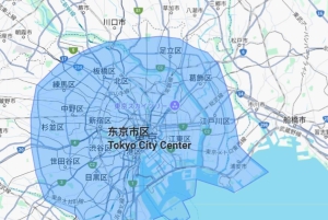 Luchthaven Narita (NRT): Privé-transfer enkele reis van/naar Tokio