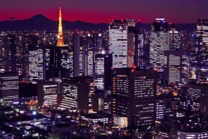 Aeropuerto de Narita NRT Traslado privado a/desde la región de Tokio