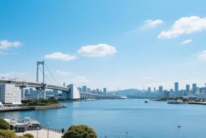 Aeroporto de Narita: Traslado privado de ida ou volta para Yokohama