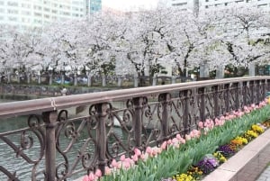 Doświadcz nocnego życia i barów w sercu Fukuoki