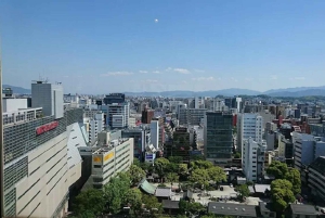 Nightlife & Bar Hopping Experience Fukuoka’s Urban Heartbeat