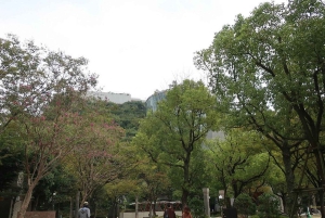 Nightlife & Bar Hopping Experience Fukuoka’s Urban Heartbeat