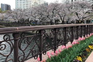 Nightlife & Bar Hopping Experience Fukuoka’s Urban Heartbeat