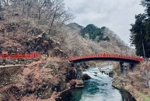Nikko: a guided tour of the UNESCO World Heritage shrine, nestled in the forest