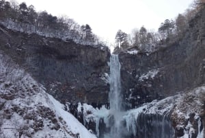 日光：ドライバー兼ガイド付きカスタマイズ可能なプライベート市内観光