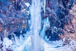 日光：ドライバー兼ガイド付きカスタマイズ可能なプライベート市内観光