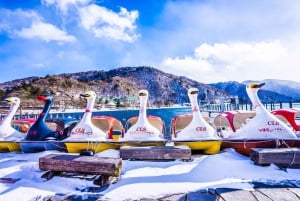 日光：ドライバー兼ガイド付きカスタマイズ可能なプライベート市内観光