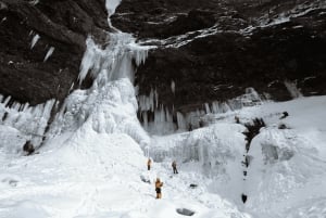 日光：ドライバー兼ガイド付きカスタマイズ可能なプライベート市内観光