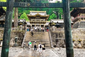 Nikko: Dagstur fra Tokyo på engelsk - English