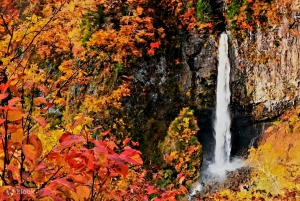 Interlaken: Private Hiking Tour Oeschinen Lake & Blue Lake