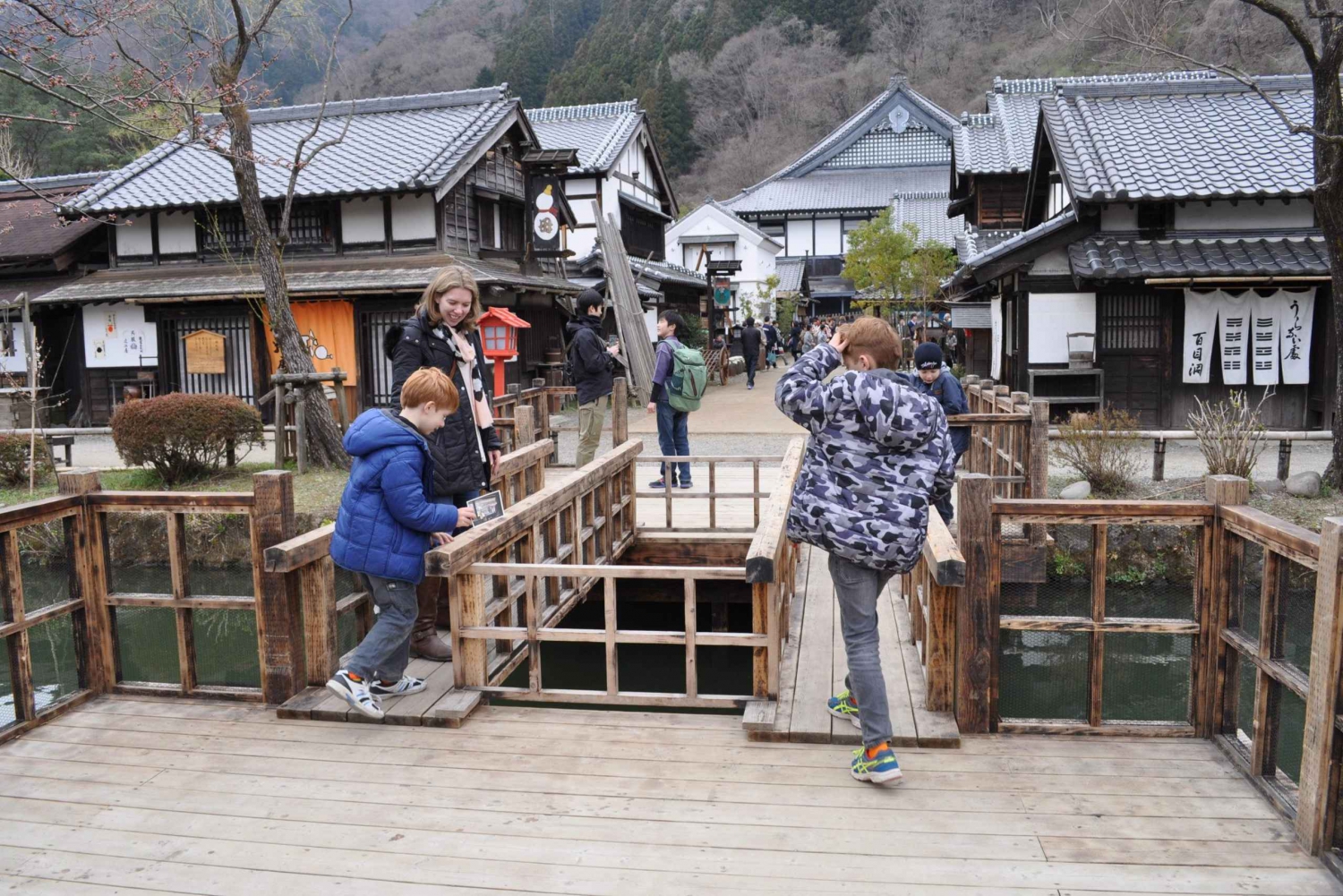 Nikko con Estilo: Tour privado de lujo de un día con guía en inglés