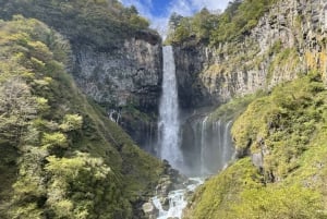 Från Tokyo: Nikko lyxig tur med engelsktalande guide