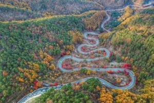 Från Tokyo: Nikko lyxig tur med engelsktalande guide