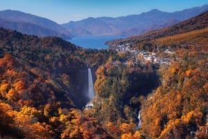 Excursion privée d'une journée à Nikko avec prise en charge et retour à l'hôtel