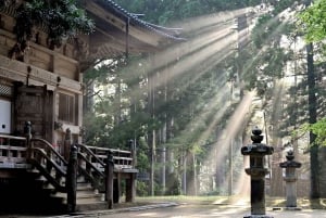 Excursion privée d'une journée à Nikko avec prise en charge et retour à l'hôtel