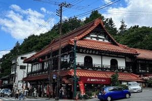 Excursion privée d'une journée à Nikko avec prise en charge et retour à l'hôtel