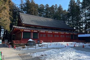 Excursion privée d'une journée à Nikko avec prise en charge et retour à l'hôtel