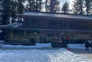 Excursion privée d'une journée à Nikko avec prise en charge et retour à l'hôtel