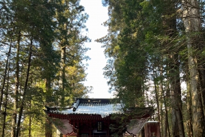 Excursion privée d'une journée à Nikko avec prise en charge et retour à l'hôtel