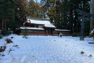 Excursion privée d'une journée à Nikko avec prise en charge et retour à l'hôtel