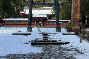 Excursion privée d'une journée à Nikko avec prise en charge et retour à l'hôtel