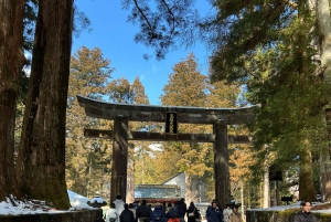 Excursion privée d'une journée à Nikko avec prise en charge et retour à l'hôtel