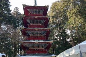 Excursion privée d'une journée à Nikko avec prise en charge et retour à l'hôtel