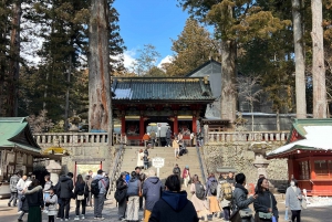 Excursion privée d'une journée à Nikko avec prise en charge et retour à l'hôtel