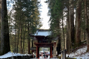 Excursion privée d'une journée à Nikko avec prise en charge et retour à l'hôtel