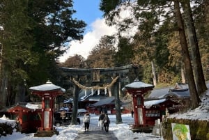 Excursion privée d'une journée à Nikko avec prise en charge et retour à l'hôtel