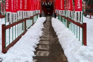 Excursion privée d'une journée à Nikko avec prise en charge et retour à l'hôtel