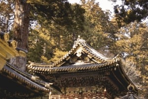 Nikko Heritage & Nature Day Trip from Tokyo