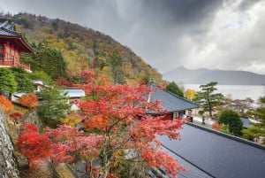 Tokio: tour privado a Nikko con guía de habla inglesa